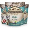 Carnilove Dog Pouch Paté Carp with Black Carrot 300 g
