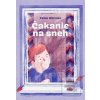 Čakanie na sneh (Peter Gärtner)