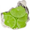 Foto fotografie diera na stenu Limes 75x75 cm