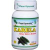 Planet Ayurveda Karela