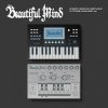Xdinary Heroes: Beautiful Mind - Platform Album