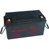 Alarmguard 12V 65Ah
