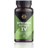 Siberian Wellness SynchroVitals IV - pre zdravú pečeň (60 kapsúl)