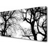 Obraz Canvas Stromy príroda čiernobiely 100x50 cm