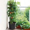 Deminas | Kvetináč na pohodlné pestovanie paradajok s podpornou konštrukciou