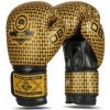 Boxerské rukavice DBX BUSHIDO B-2v23 10oz