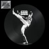Bowie David: Man Who Sold The World (Picture Disc Vinyl) - Vinyl (LP)