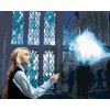 zuty Zuty - Maľovanie Podľa Čísel - Lenka Čaruje Patróna (Harry Potter), 40X50 Cm, Plátno+Rám (8596530239857)