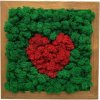 Machový obraz Srdce Red 25x25cm
