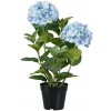 Gasper Gasper Umelá hortenzia, modrá