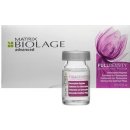 Matrix Biolage Stemoxydine 10 x 6 ml