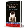 Dalajlamova kočka a síla meditace - David Michie