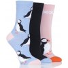 Dámske módne veselé bavlnené ponožky WILD feet ALKA 3 páry