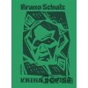 Kniha dopisů - Bruno Schulz