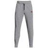 Norway Trousers Fleece grey