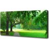 Foto obraz na plátne Jesenný park 100x50 cm