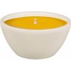 Nohel Garden Sviečka CITRONELLA MERKUR žardinka d15x7cm
