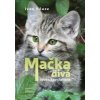 Mačka divá – lovec špecialista - Kňaze Ivan