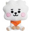 BT21 - Plyšový maskot 20 cm RJ BABY
