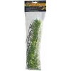 Zoo Med Bolivian Croton L