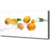 Foto obraz na plátne Pomaranče a voda 100x50 cm