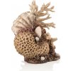 biOrb coral-shells ornament natural 22 cm