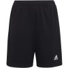 Adidas Teamsport Entrada 22 JR