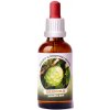 Trávníček Dračia krv - Graviola tinktúra 50 ml