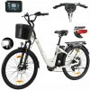 TTGO C2 Pro Elektrický bicykel Pánsky/Dámsky 250W 52NM 36V 18AH 25KM/H Dojazd