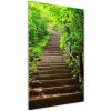 Vertikálny fotoobraz na skle Schody do lesa 50x100 cm