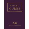 Small Cures (Della Hicks-Wilson)(Brožovaná)