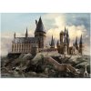 Detská fototapeta Harry Potter Hogwarts 252 x 182 cm, 4 diely