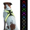 Postroj pre psa Veľký, netlačiaci, LED, nastaviteľný, s odrazkou, 8 farieb