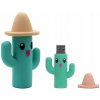 Pendrive INDYGO KAKTUS KAPELUSZ POSTAĆ BAJKA 64 GB USB 2.0 viacfarebný