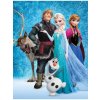 BrandMac Detská kvalitná fleecová deka Ľadové kráľovstvo Frozen Disney