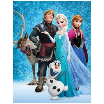 BrandMac Detská kvalitná fleecová deka Ľadové kráľovstvo Frozen Disney