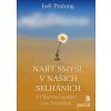 Najít smysl v našich selháních - Joël Pralong