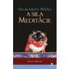 Dalajlámova mačka a sila meditácie - David Michie