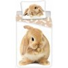 Jerry Fabrics Obliečky Bunny brown 140x200 70x90