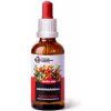 Dračia krv Ashwagandha 50ml