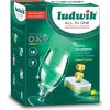 Ludwik tablety do umývačky riadu citrón All in One Ultimate Power 90 ks