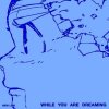New Link: While You Are Dreaming - CD