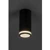 RABALUX 73030 Senobia povrchové bodové svietidlo D55mm 1xGU10 čierna, biela