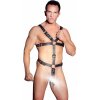 Postroj ZADO Harness