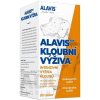 ALAVIS KĹBOVÁ VÝŽIVA tbl pre psy 1x90 ks