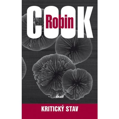 Kritický stav - Robin Cook