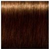 SCHWARZKOPF Igora Royal Absolutes 60ml - svetlo hnedá prírodná zlatá 5-50