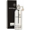 Montale Wood & Spices, Parfumovaná voda 100ml - Tester pre mužov