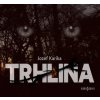 Trhlina (audiokniha) (Jozef Karika)