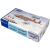 Special Hobby Fiat Br.20 Cicogna ‘Bomber over Two Continents’ 1/48